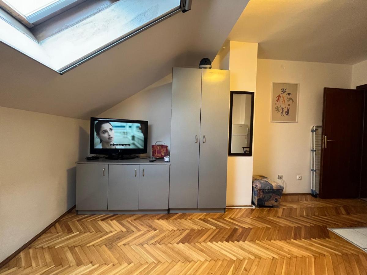 Studio In The Centre Of Novi Sad Διαμέρισμα Εξωτερικό φωτογραφία
