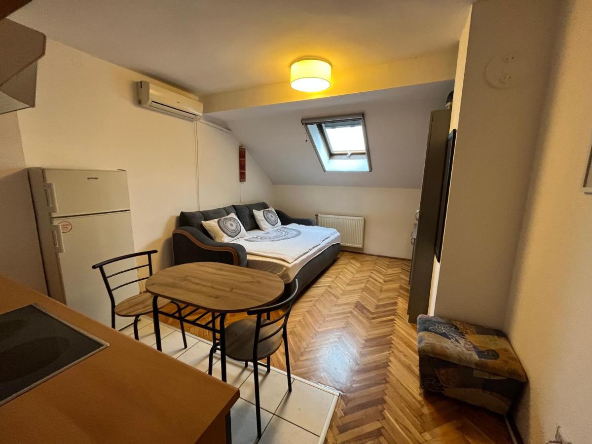 Studio In The Centre Of Novi Sad Διαμέρισμα Εξωτερικό φωτογραφία