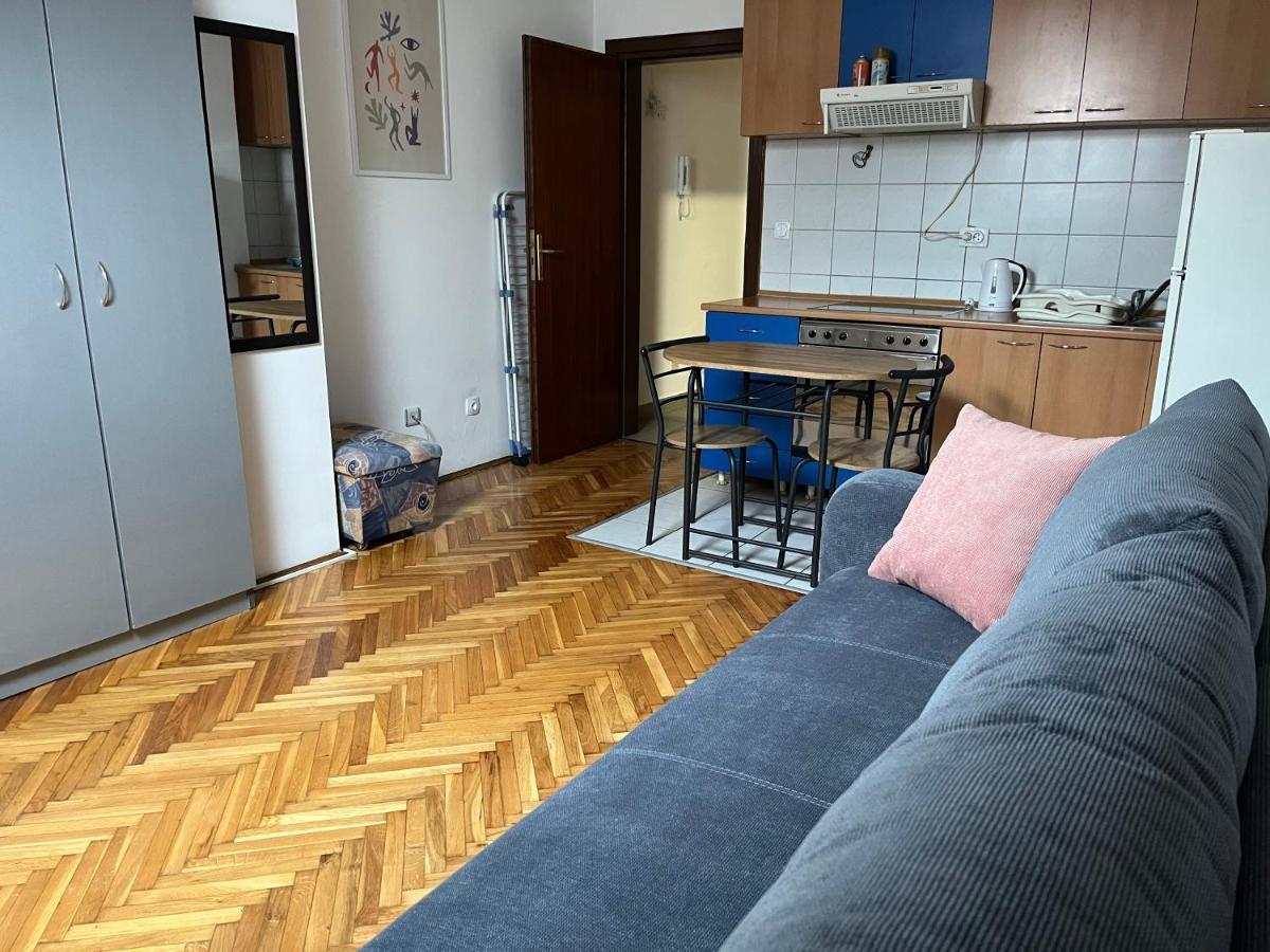 Studio In The Centre Of Novi Sad Διαμέρισμα Εξωτερικό φωτογραφία