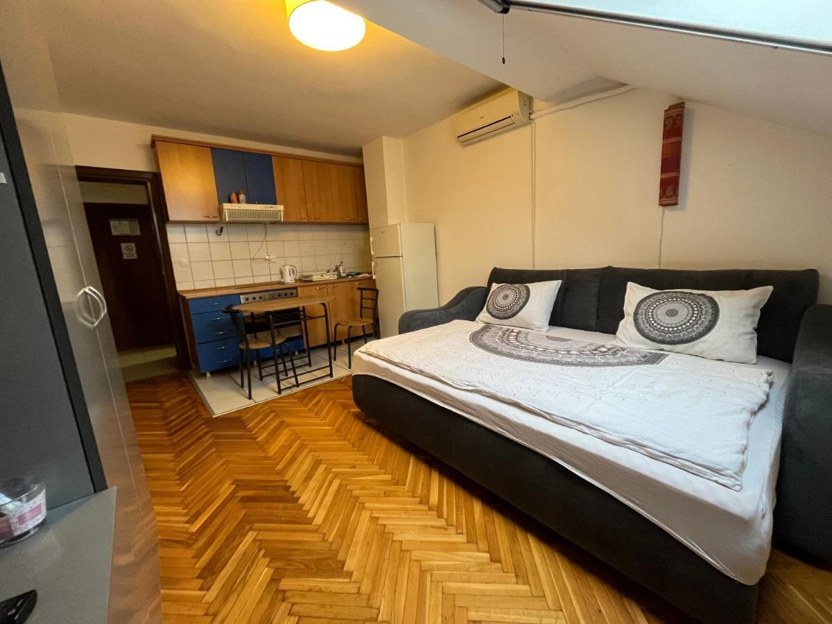 Studio In The Centre Of Novi Sad Διαμέρισμα Εξωτερικό φωτογραφία