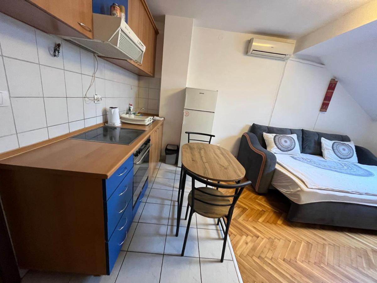 Studio In The Centre Of Novi Sad Διαμέρισμα Εξωτερικό φωτογραφία